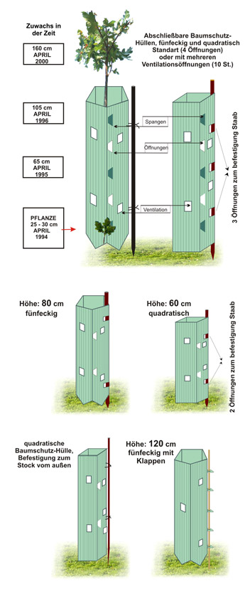 Einzelne Baumschutzhüllen